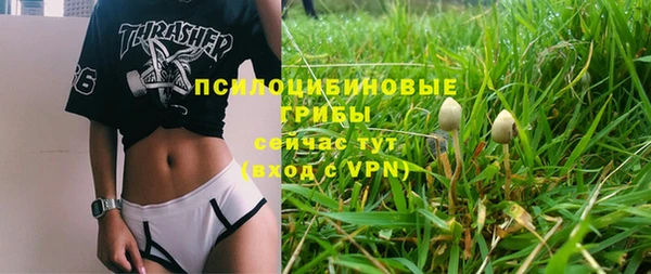 a pvp Белокуриха