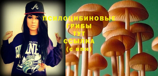 винт Белоозёрский