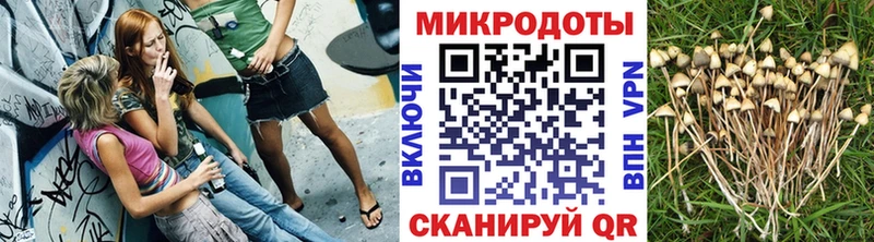мориарти как зайти  Дорогобуж  Псилоцибиновые грибы Magic Shrooms  купить  